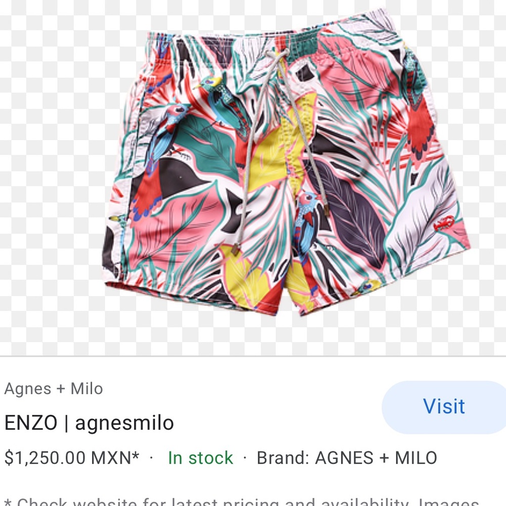 Agnes + Milo Enzo Swimsuit Swim Trunks Shorts RARE